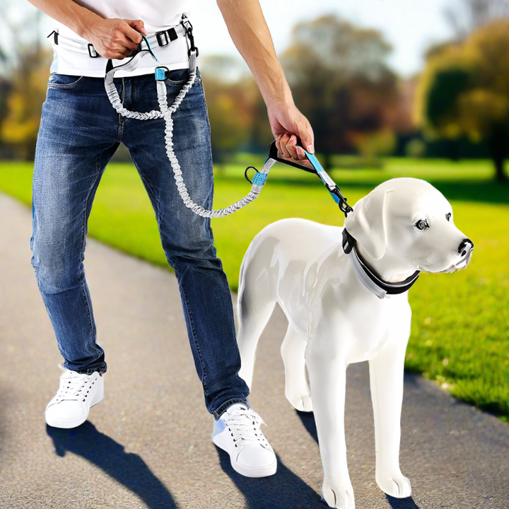 Leash Traction Rope Pet Dog Running Belt Elastic Hands Freely Jogging Pull Dog Leash 2 Colors