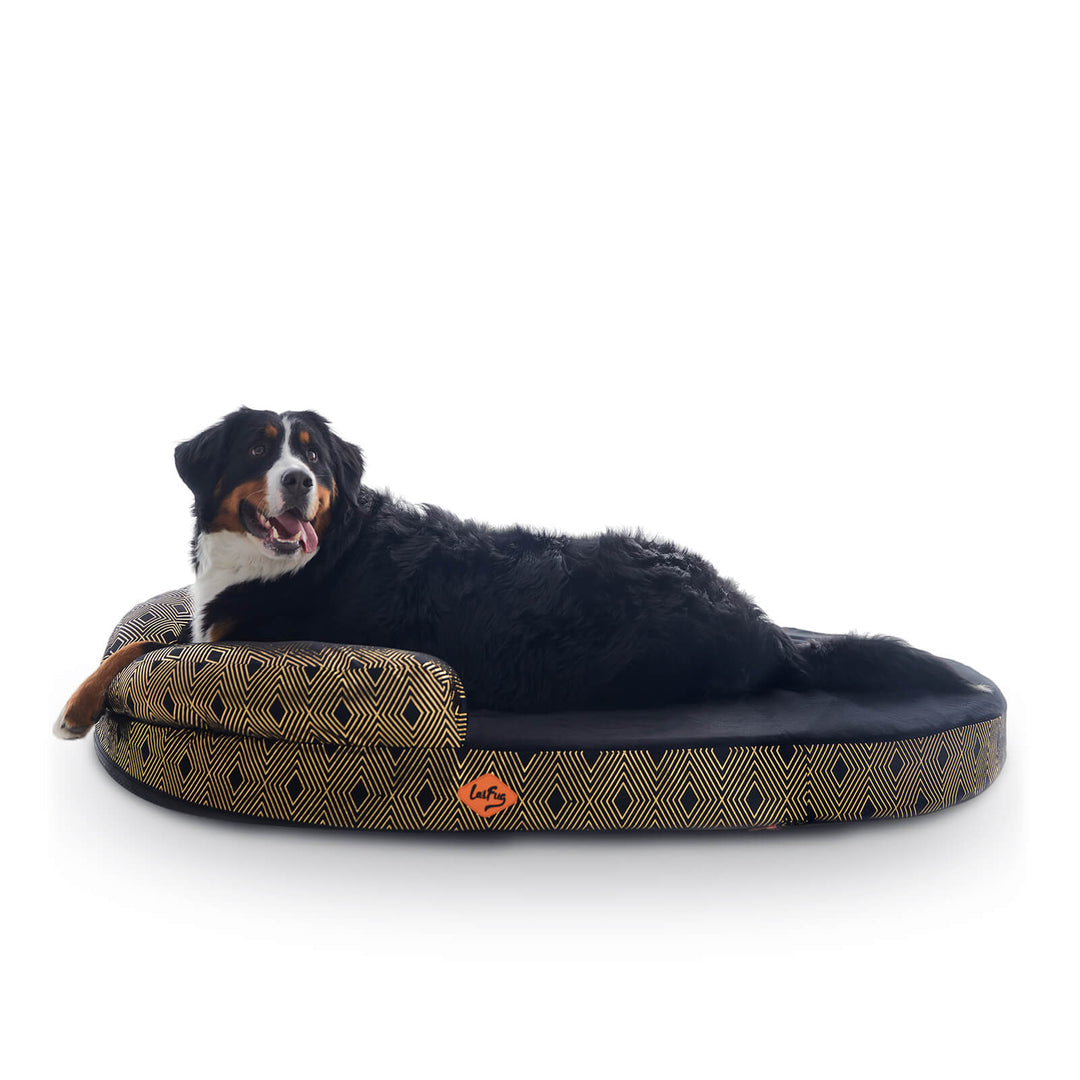 Laifug Oval Dog Bed-3