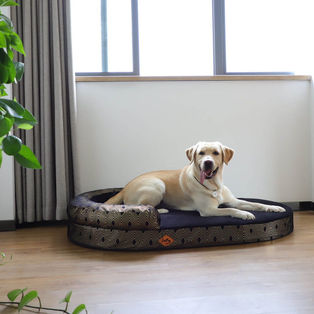 Laifug Oval Dog Bed-7