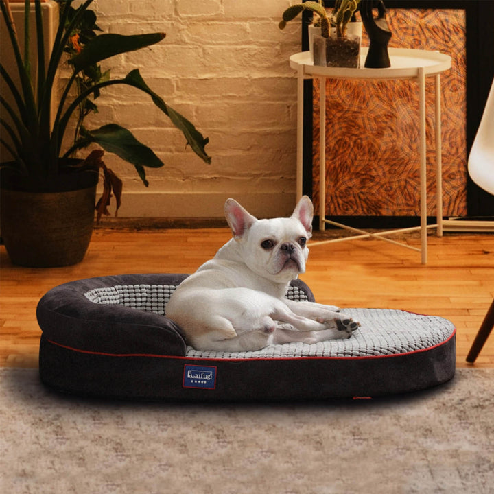 「LOW PRICE PROMOTION」Laifug Oval Dog Bed-2