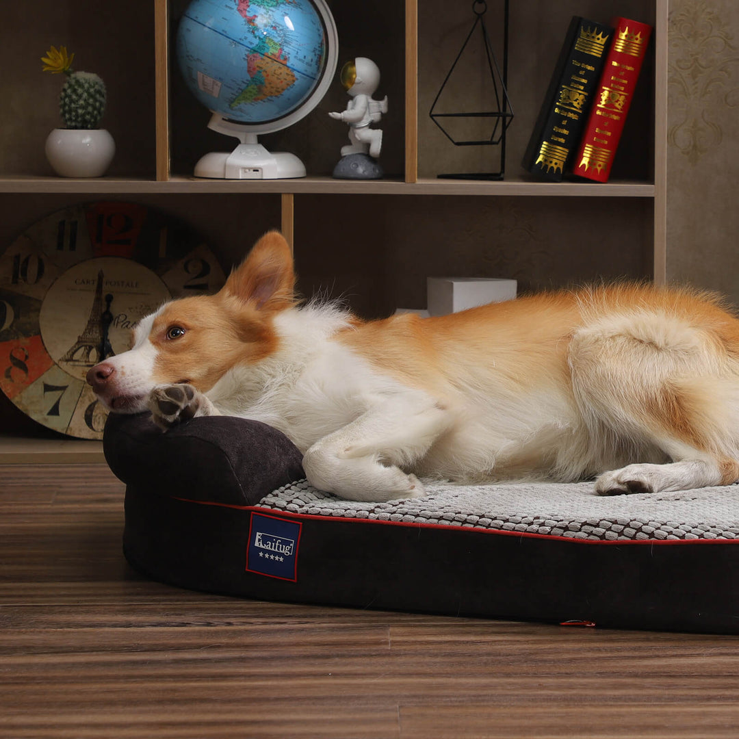 「LOW PRICE PROMOTION」Laifug Oval Dog Bed-11