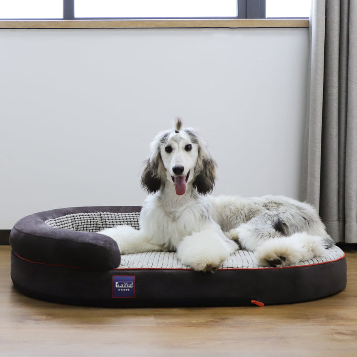 「LOW PRICE PROMOTION」Laifug Oval Dog Bed-19