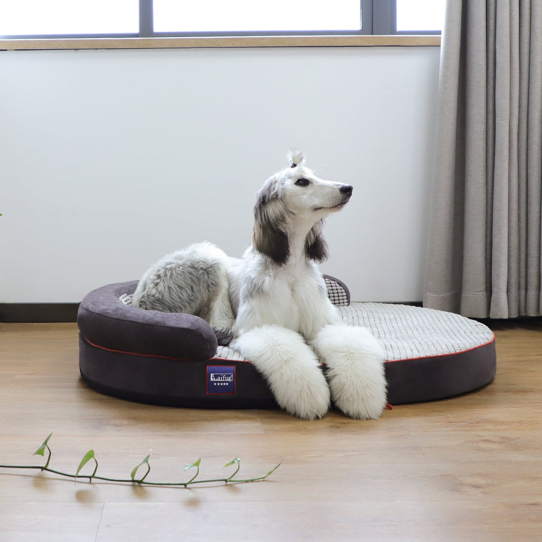 「LOW PRICE PROMOTION」Laifug Oval Dog Bed-18