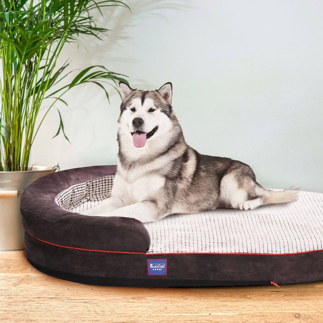 「LOW PRICE PROMOTION」Laifug Oval Dog Bed-30