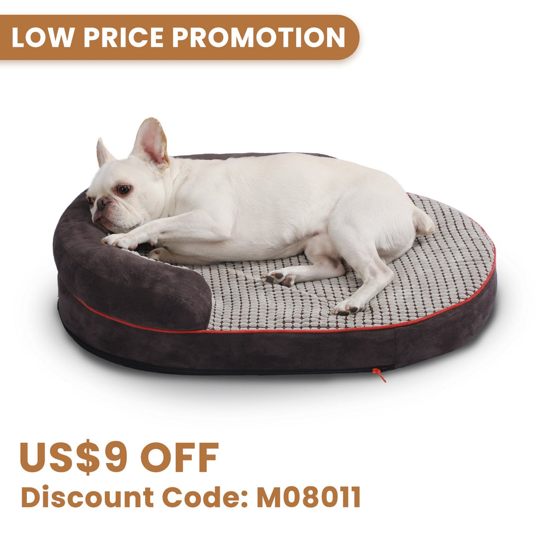 「LOW PRICE PROMOTION」Laifug Oval Dog Bed-0