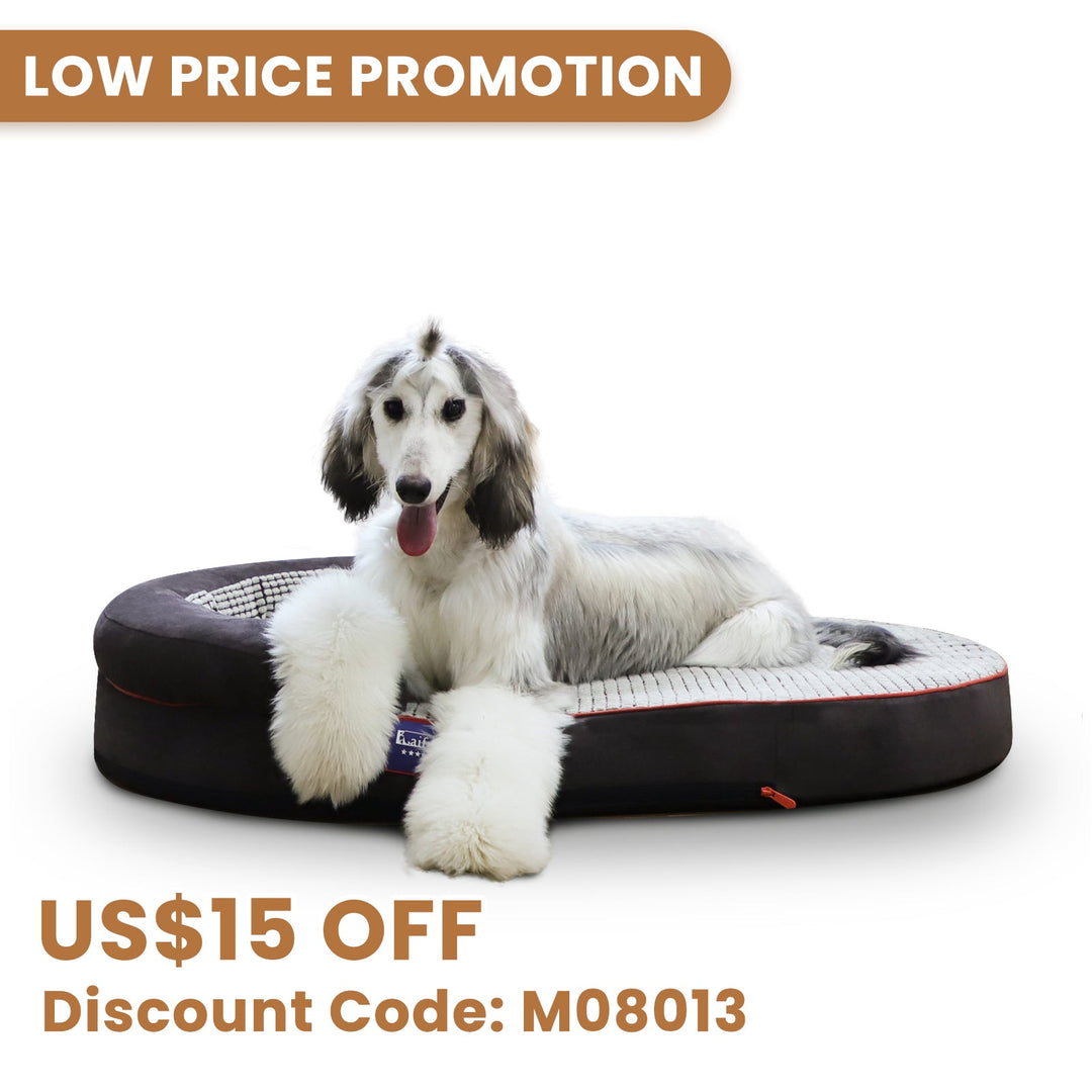 「LOW PRICE PROMOTION」Laifug Oval Dog Bed-17