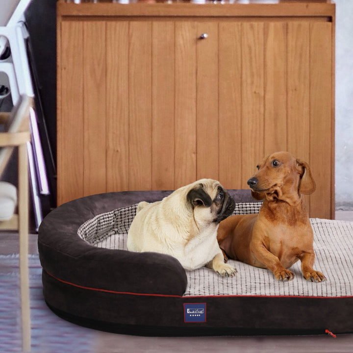 「LOW PRICE PROMOTION」Laifug Oval Dog Bed-3