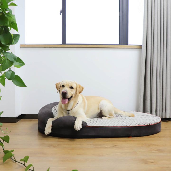 「LOW PRICE PROMOTION」Laifug Oval Dog Bed-20