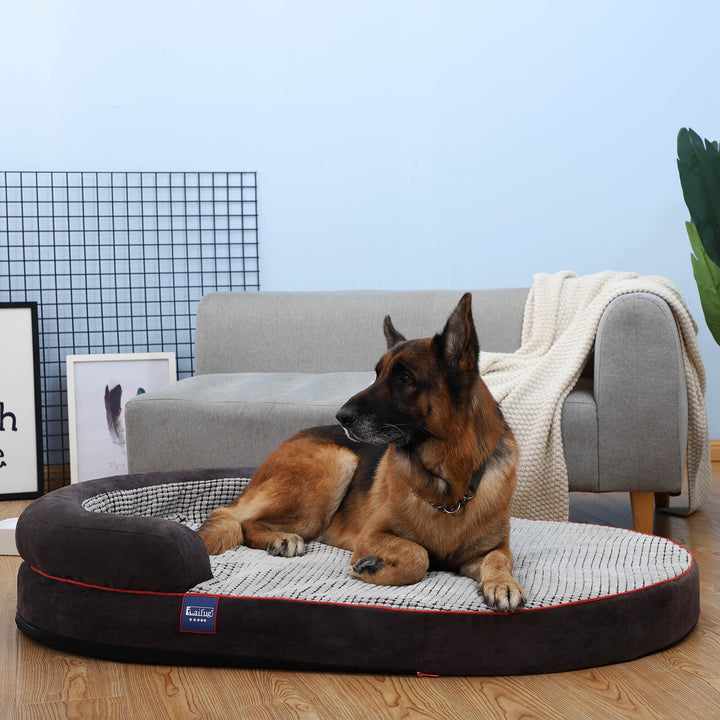 「LOW PRICE PROMOTION」Laifug Oval Dog Bed-29