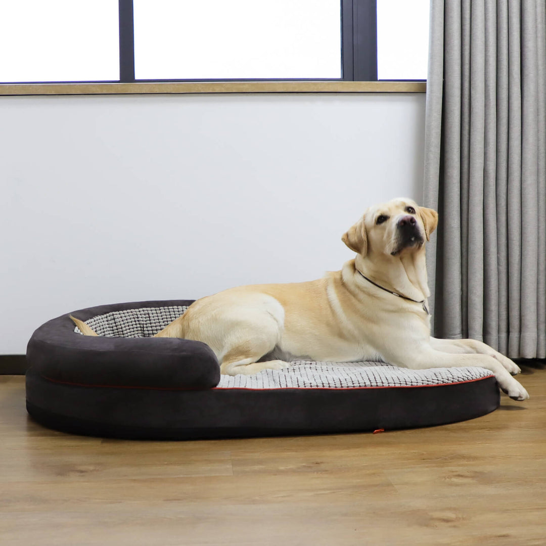 「LOW PRICE PROMOTION」Laifug Oval Dog Bed-21
