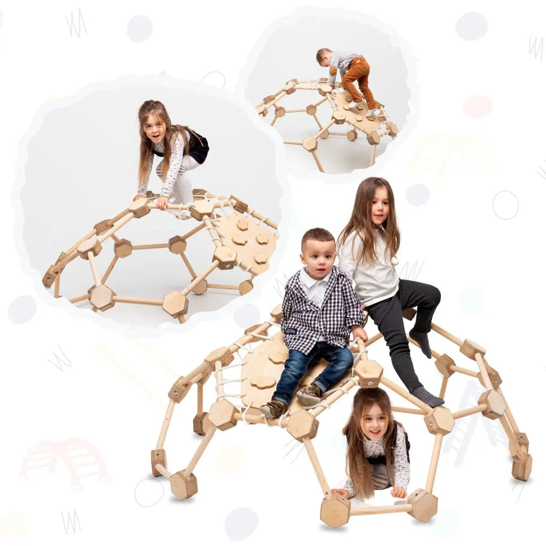 Wooden Climbing Frame Geodome / Climbing Dome for Kids 2-6 y.o.-0