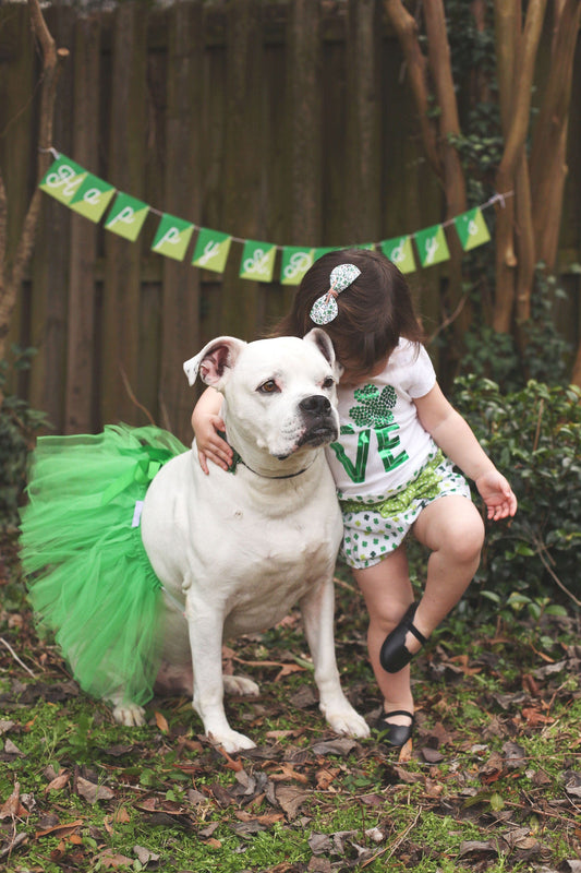 Green Christmas Dog Tutu Skirt
