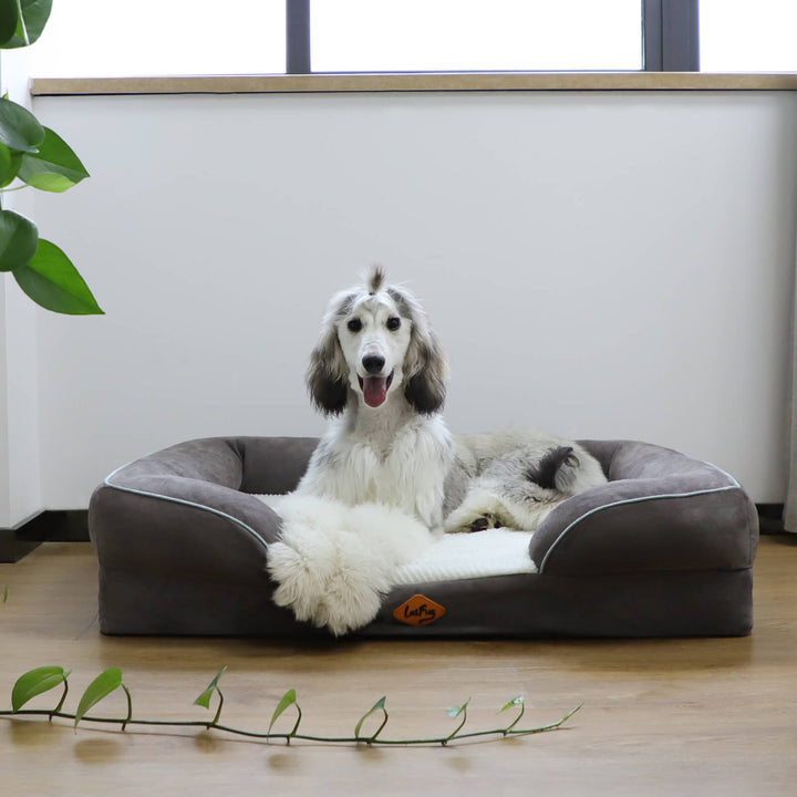 LAIFUG Pet Sofa Beds