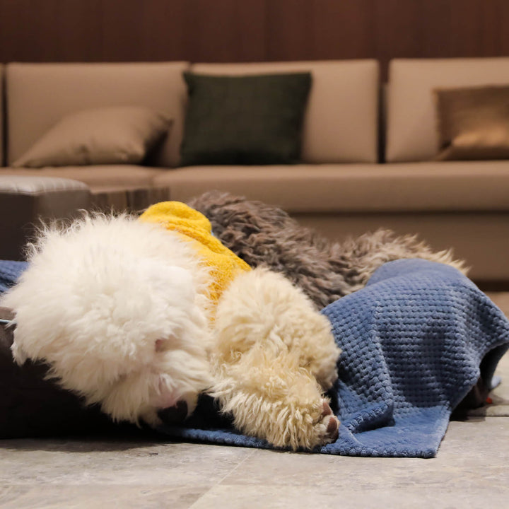Laifug Fleece Warm Pet Blanket-4
