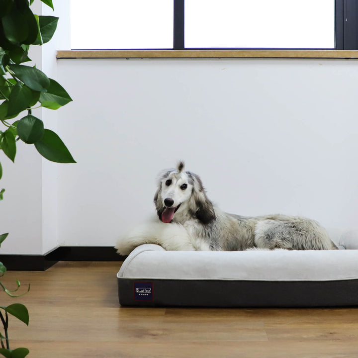 Laifug Dog Mattress-5