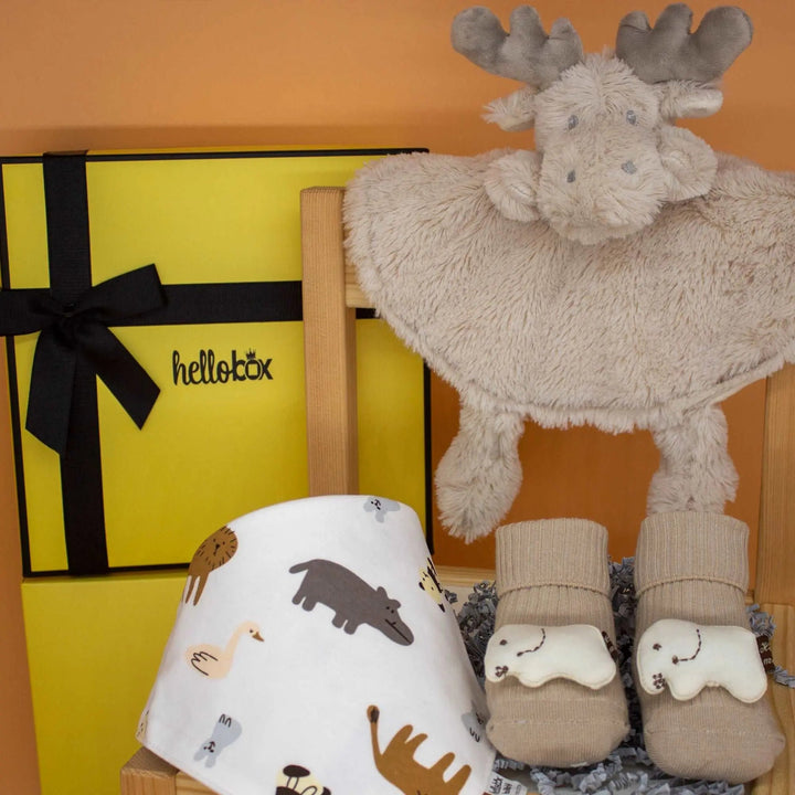 HELLOBOX! 3PC Infant/Newborn Gift Set (Moose)