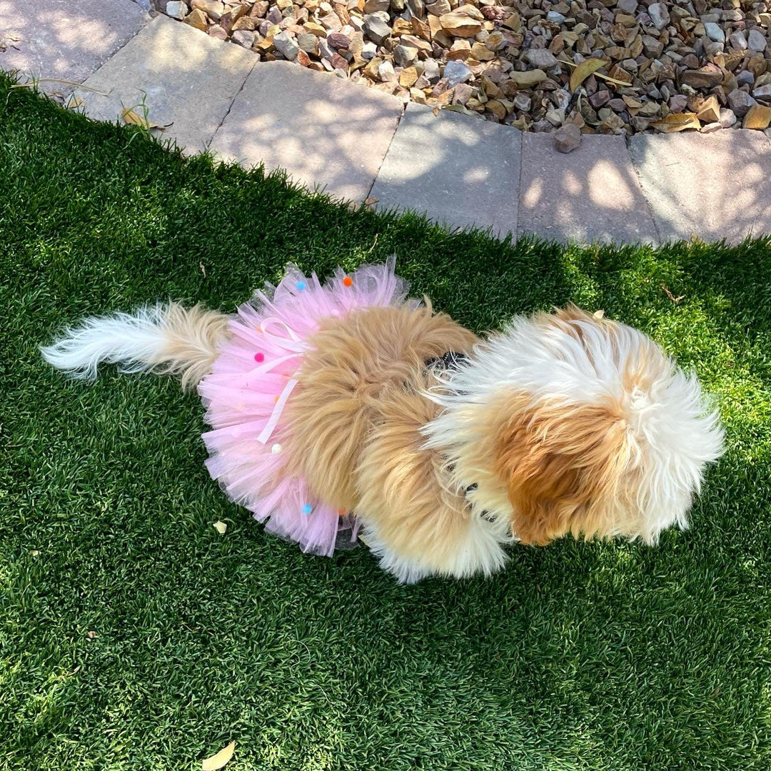 Pink Pom Pom Dog Tutu Skirt | XS-XXXL-3