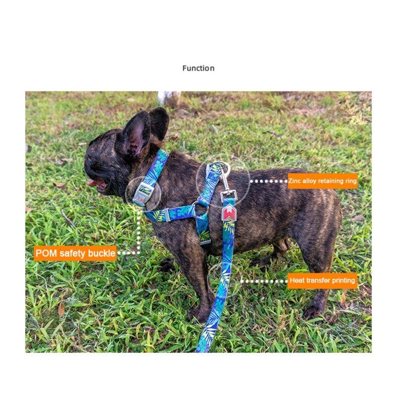 Cat Dog Collar Harness Leash Adjustable Nylon Pet Traction Cat Dog Collar Adjustable Quick Release Pet Harness Belt-3