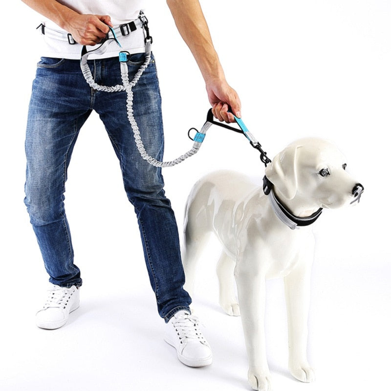 Leash Traction Rope Pet Dog Running Belt Elastic Hands Freely Jogging Pull Dog Leash 2 Colors-0