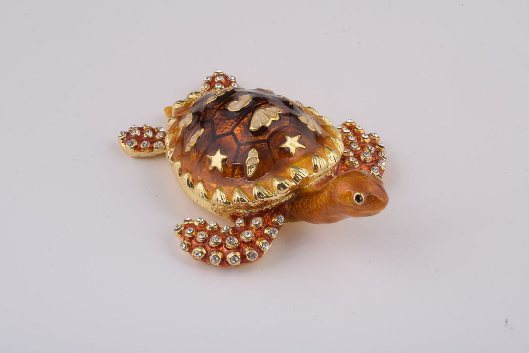Brown Sea Turtle-5