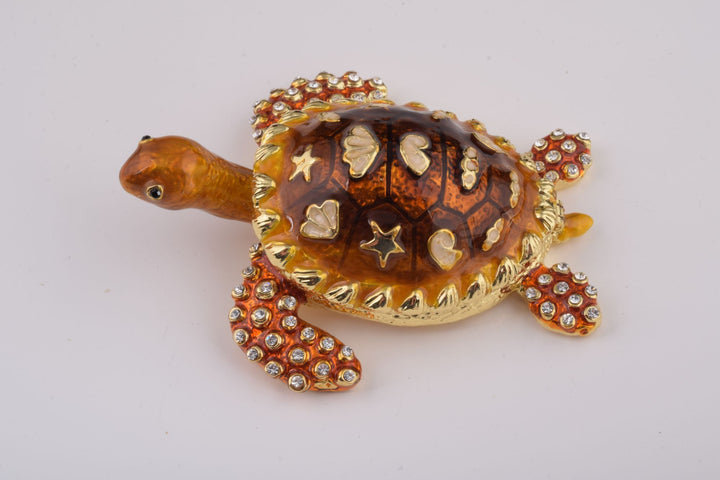 Brown Sea Turtle-6