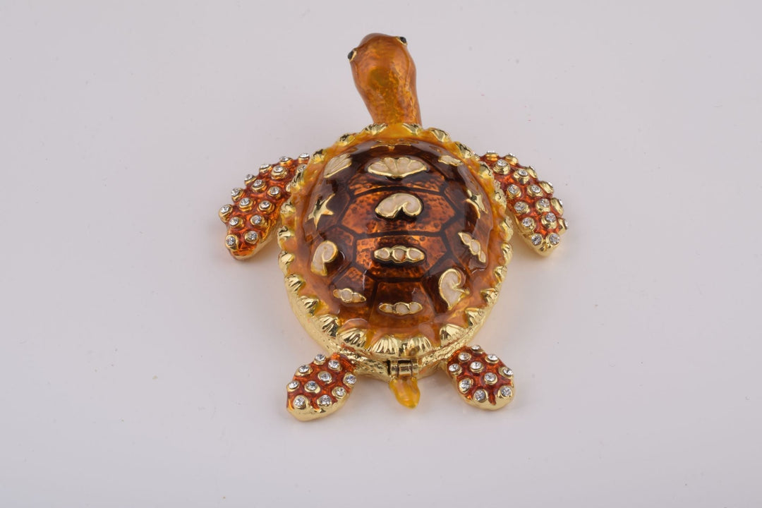 Brown Sea Turtle-8